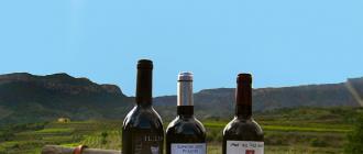 Испанские вина: категории, лучшие сорта и винодельческие районы