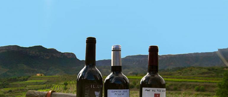 Испанские вина: категории, лучшие сорта и винодельческие районы