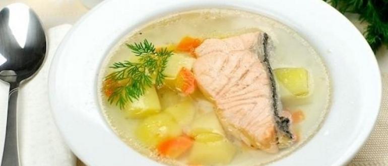Уха из форели - изысканный рыбный суп